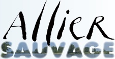 Allier Sauvage